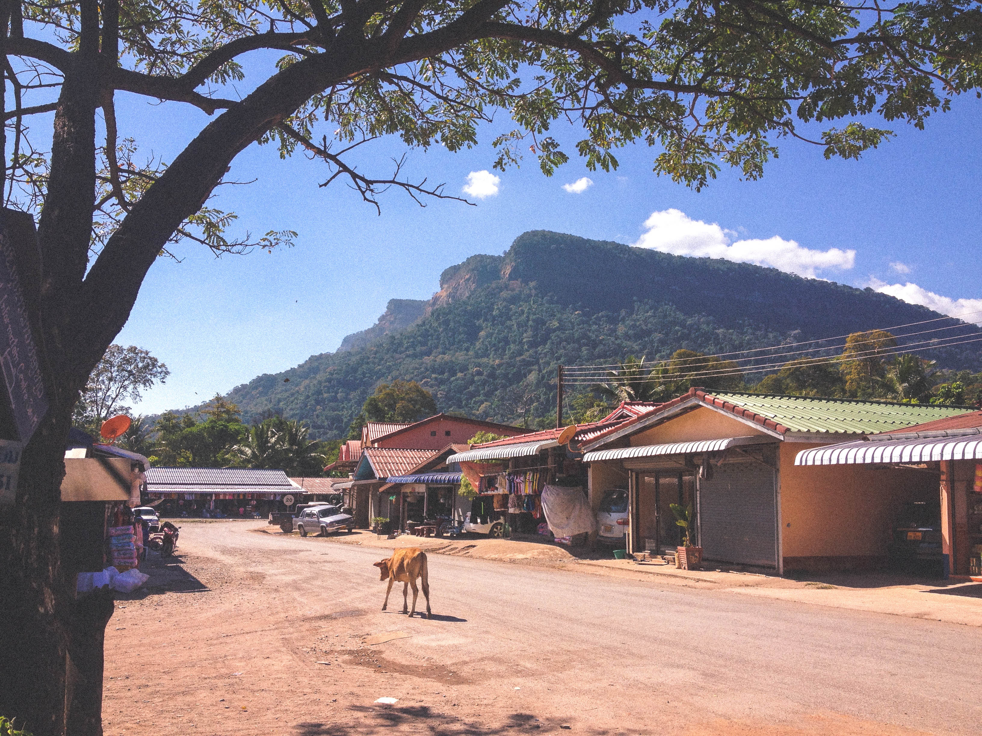 Kong Lo, Laos